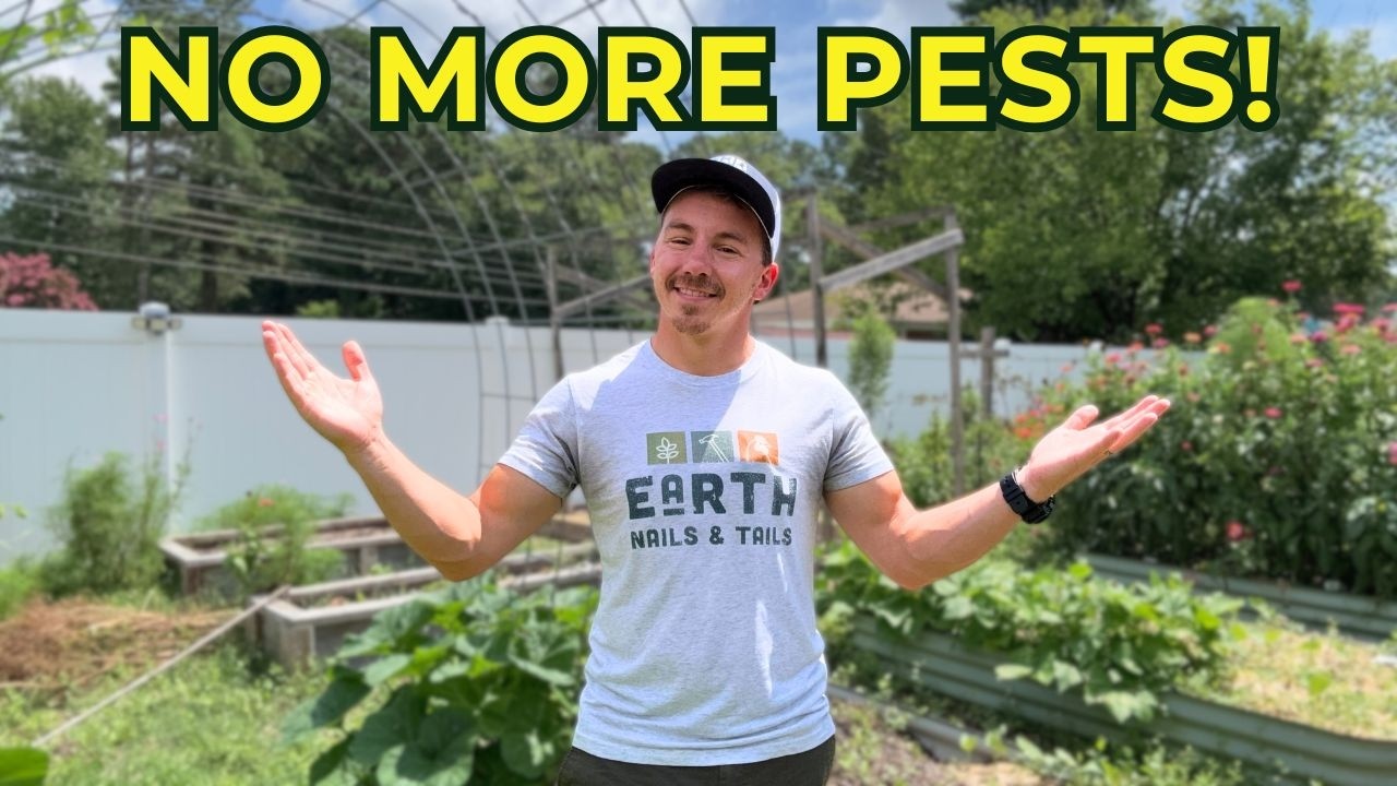 How Florida pest control companies can partner with community gardens to get local leads